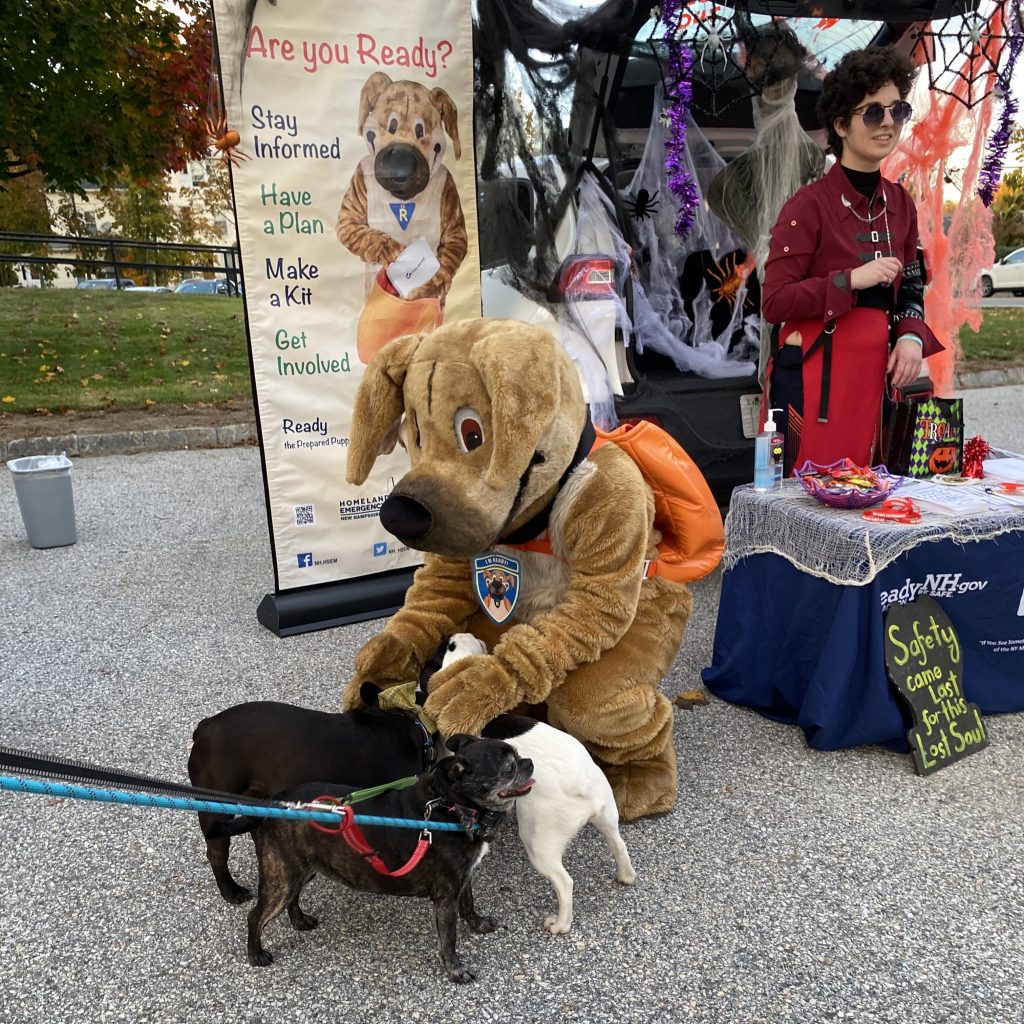 ready crouches to pet 3 small dogs that are crowding him. The Are you ready banner and trick-or-treat table is behind ready. behind the table is Abby Z, in a red costume.